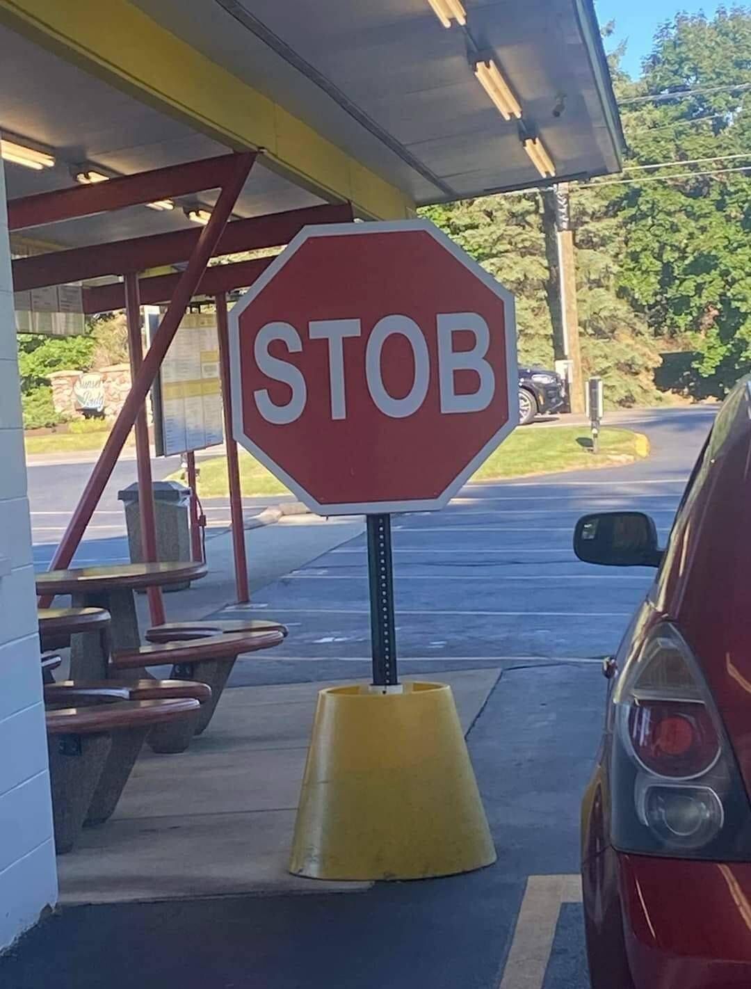Describe this image